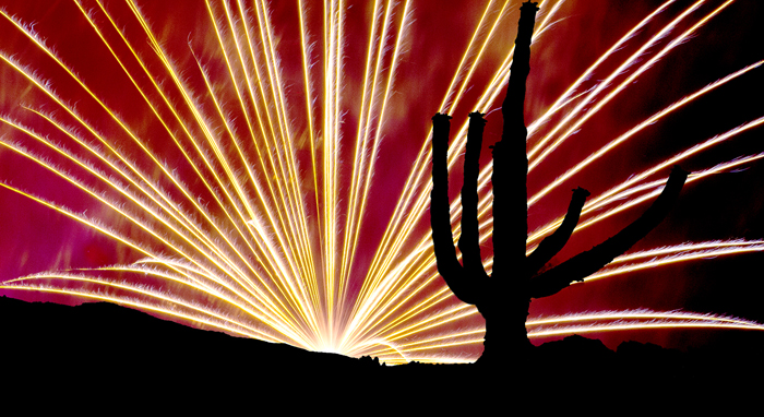 Sunset with Cactus in Foreground